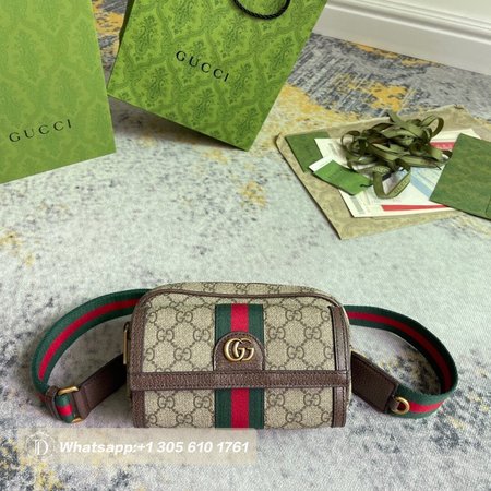 Gucci Ophidia GG Mini Bag