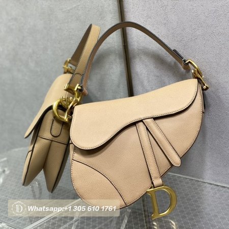 Dior Saddle Bag