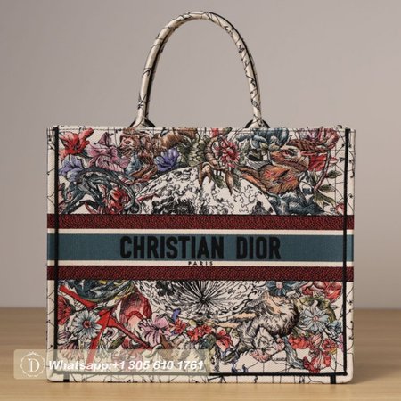 Dior Book Tote Bag