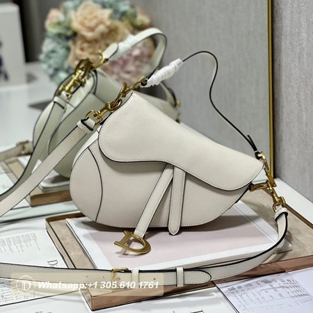 Dior Saddle Bag