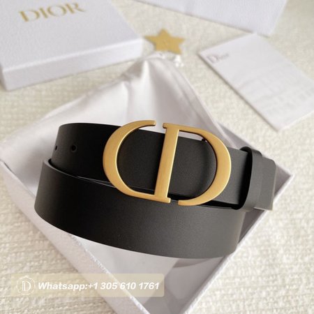 Dior Saddle Belt Calfskin Black