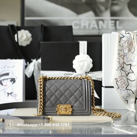 Chanel Classic Mini Leboy 15cm Bag