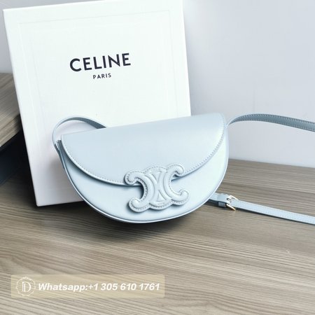 Celine Cuir Triomphe 111233