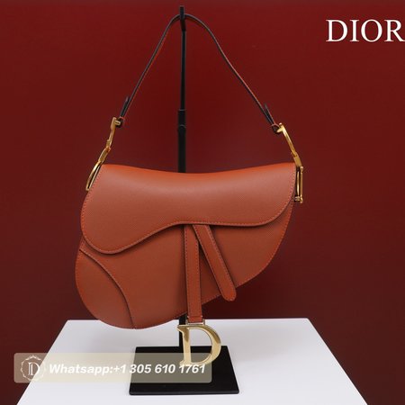 Dior Saddle M0446