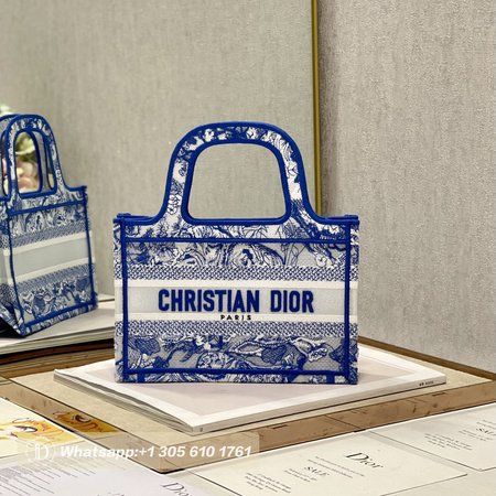 Dior Book Tote Mini M1286